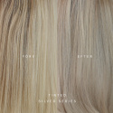 TINTED Silver Shampoo